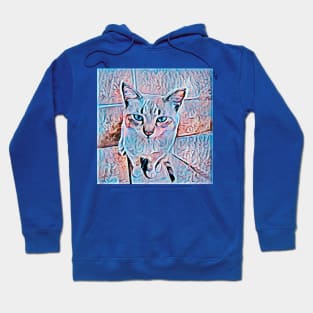 CAT COLORS BLUE 3D Hoodie